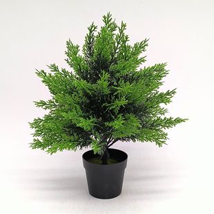 ���R�d�羳�����̰صز�Gֲ���~�b��⻨�@ͥԺ���Բ廨�쾰