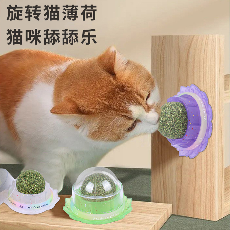 Catnip Ball Rotating Woodruff Fruit Ball Cat Teething Toy Cat Snacks Catnip Ball Gift Box