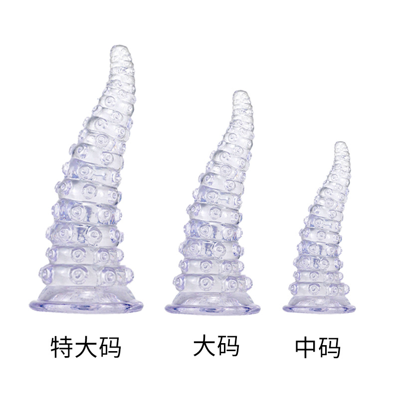 투명한 큰 가방