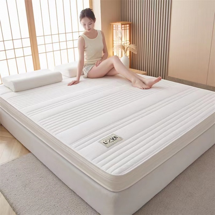 椰棕乳胶海绵床垫家用宿舍学生榻榻米垫子记忆棉软垫褥子1.8护脊
