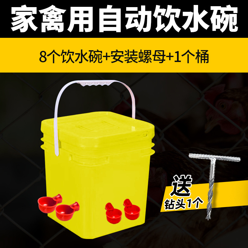 Bebedero automático para criar pollos, pollo, pato, ganso, cuenco de agua, paloma, cuenco de agua, codorniz, aves, aves, pollitos, artefacto de alimentación de agua