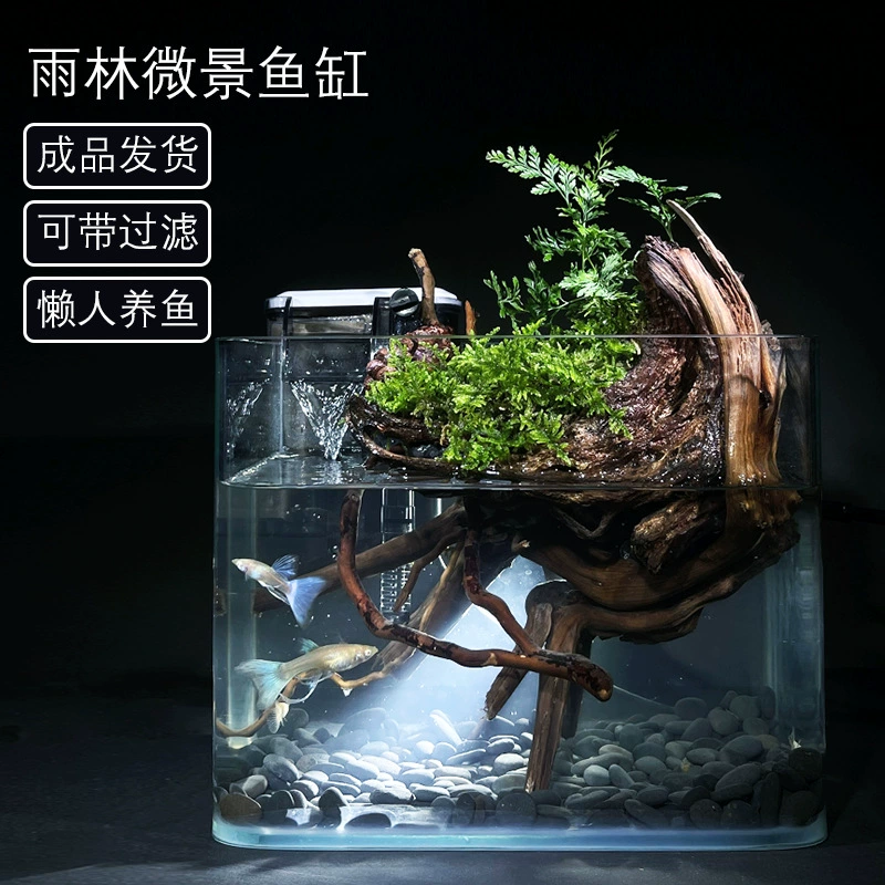 [Корень азалии] Креативный экологический микропейзаж тропического леса бонсай комнатное настольное растение в горшке ландшафт можно выращивать рыбу
