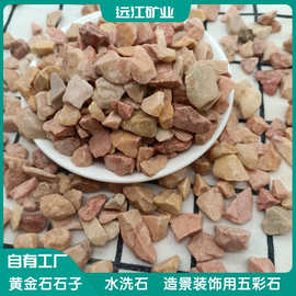 黄金石厂家批发黄色洗米石庭院造景水磨石黏胶石骨料铺路石水洗石