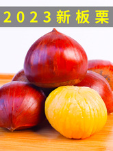 2023���|���������r9��ë�����������°����r���߲ˮ���������]5