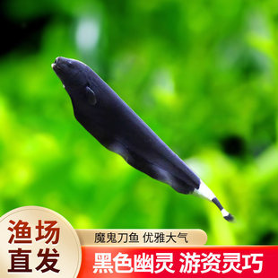 ħ�����~��ħ����ë�~�Ꭷ�~�^�p�~�����~��ˮ�^�p�~С�~��ˮ����