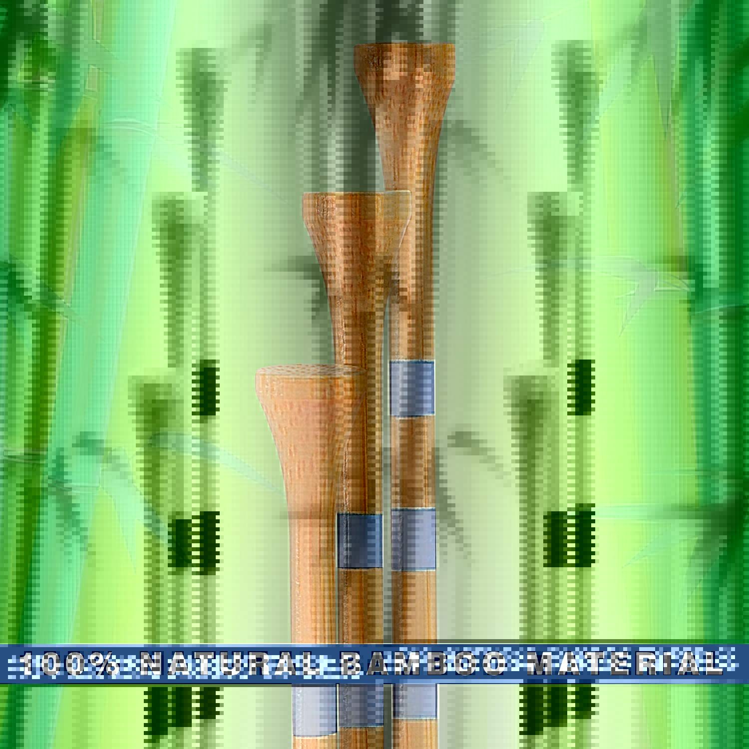 613bZlvAagL._AC_SL1500_