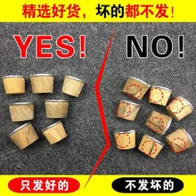 ✅BB4C批发清水热水瓶塞暖壶塞塑料硅胶家用开水暖瓶塞盖子配件