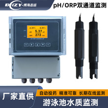 壁挂式pHORP泳池水质监测仪PHG-2250pH值检测仪ORP自动投药加药泵