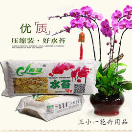 土水苔 土水苔批发 促销价格 产地货源 阿里巴巴