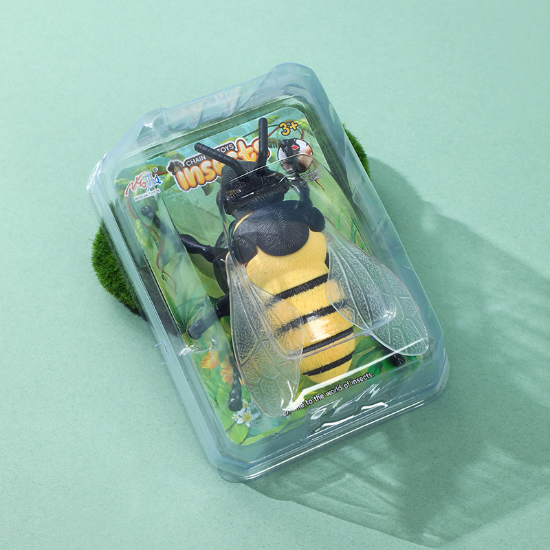 노란 시계태엽 벌