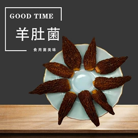 植物提取物;灵芝;羊肚菌