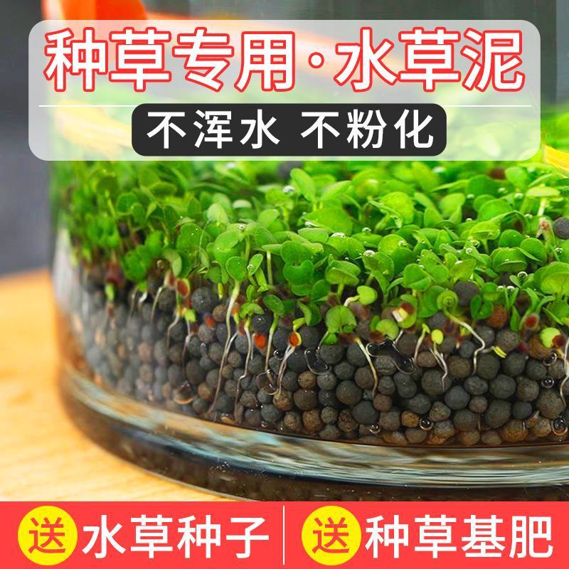 Water Grass Mud Ceramsite Hydroponic Pad Sand Sand Fish Tank Bottom Sand Landscape Package Water Grass Seed Ecological Water Grass Tank Special