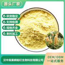 厂家供应松花粉 破壁松花粉松花粉提取物 现货供应松花粉原料萃取