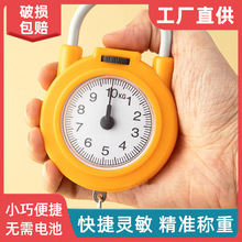 弹簧称手提智能便携式高精度随身携带迷你带钩家用快递小型电子称