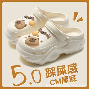 Thick-Soled Clogs for Women's Summer Outer Wear, Cute Popular Capibala Beach Ins Fashion Non-Slip Eva Clogs