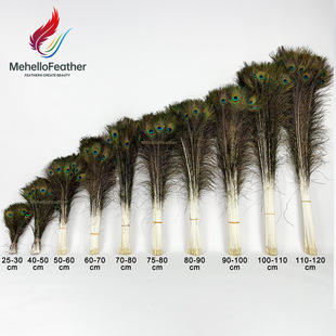 �羳ֱ����Ȼ��ȸë��ƿ�[���Ʒ����廨��ë25-120cm��ȸ����ë