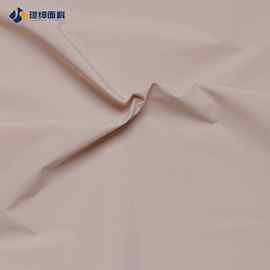 厂家供应50D加捻蛋白丝面料 银河丝超柔垂感面料