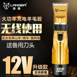 狗狗清洁;宠物电推剪;理发器