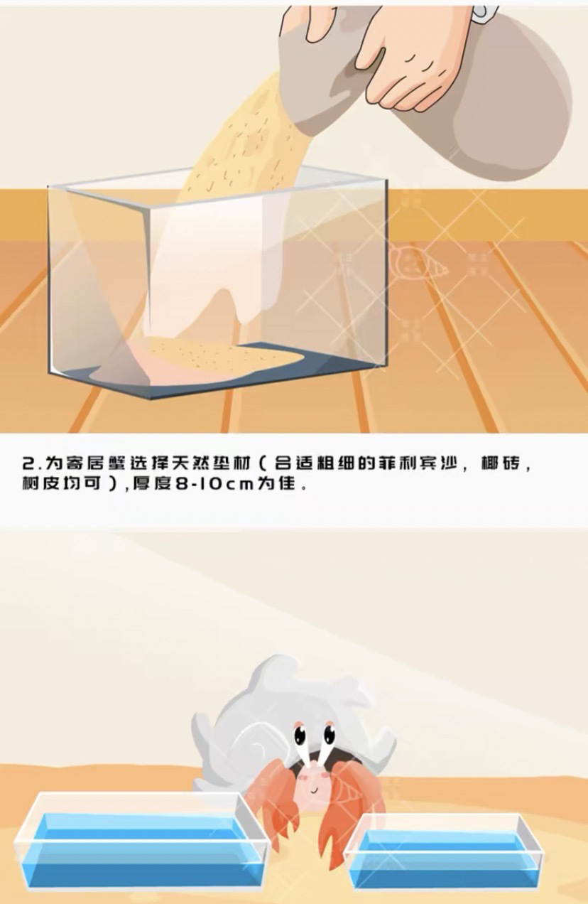 7e555324-c85a-4496-9ea8-ca563070d313.jpe