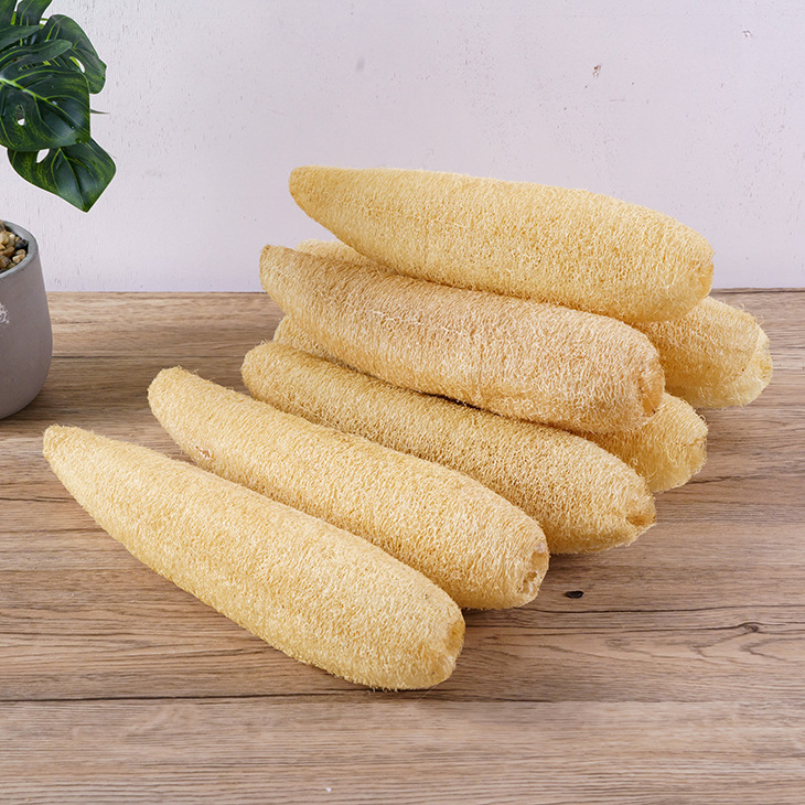 전체 루트 25-30CM