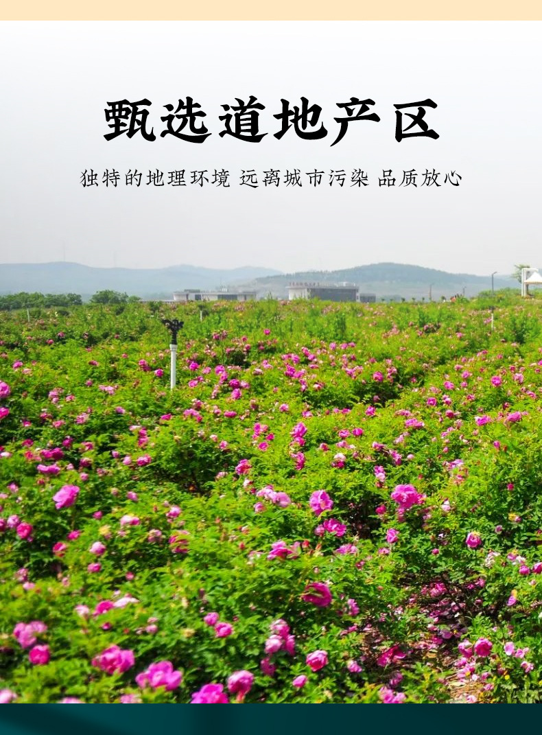Mo Hong Rose Dried Flower Tea (Rosa spp.) — First-Harvest Large Buds, Sulfur-Free, 40g key features