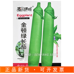 �頖˹�D ���D�G�L�Ѵ��ѾG�����ӷN�������G�����L���ļ��߲˷N