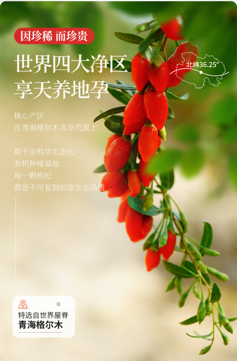 Organic Goji Berries 250g White Jar 280 Pieces Ningxia Premium Grade Dried Wolfberry for Tea key features