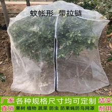 友徽杨梅网罩莲雾蓝莓网果树防虫网防鸟用网樱桃网罗幔蚊帐蔬菜加