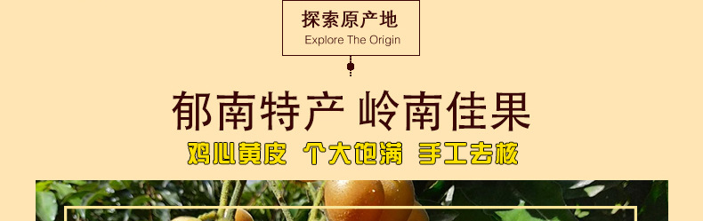 Bamboo Salt Wampee Dried Fruit Snack Huang Pi Gan Ready to Eat 150g Jar quality and texture