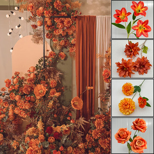 ��c��ɫ���滨�Ķ���ů���۳�ɫ�ٻ���Y���������b������l