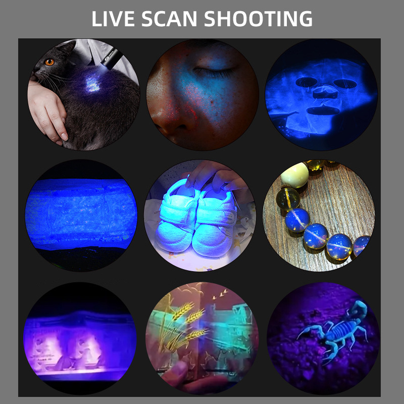 Lámpara de maderas para gato musgo orina tinea hongo detección linterna UV fluorescente agente púrpura luz dinero detector lámpara