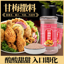 甘梅粉味撒料商用 50g地瓜薯条鸡排专用调料梅干粉正宗台湾梅子粉