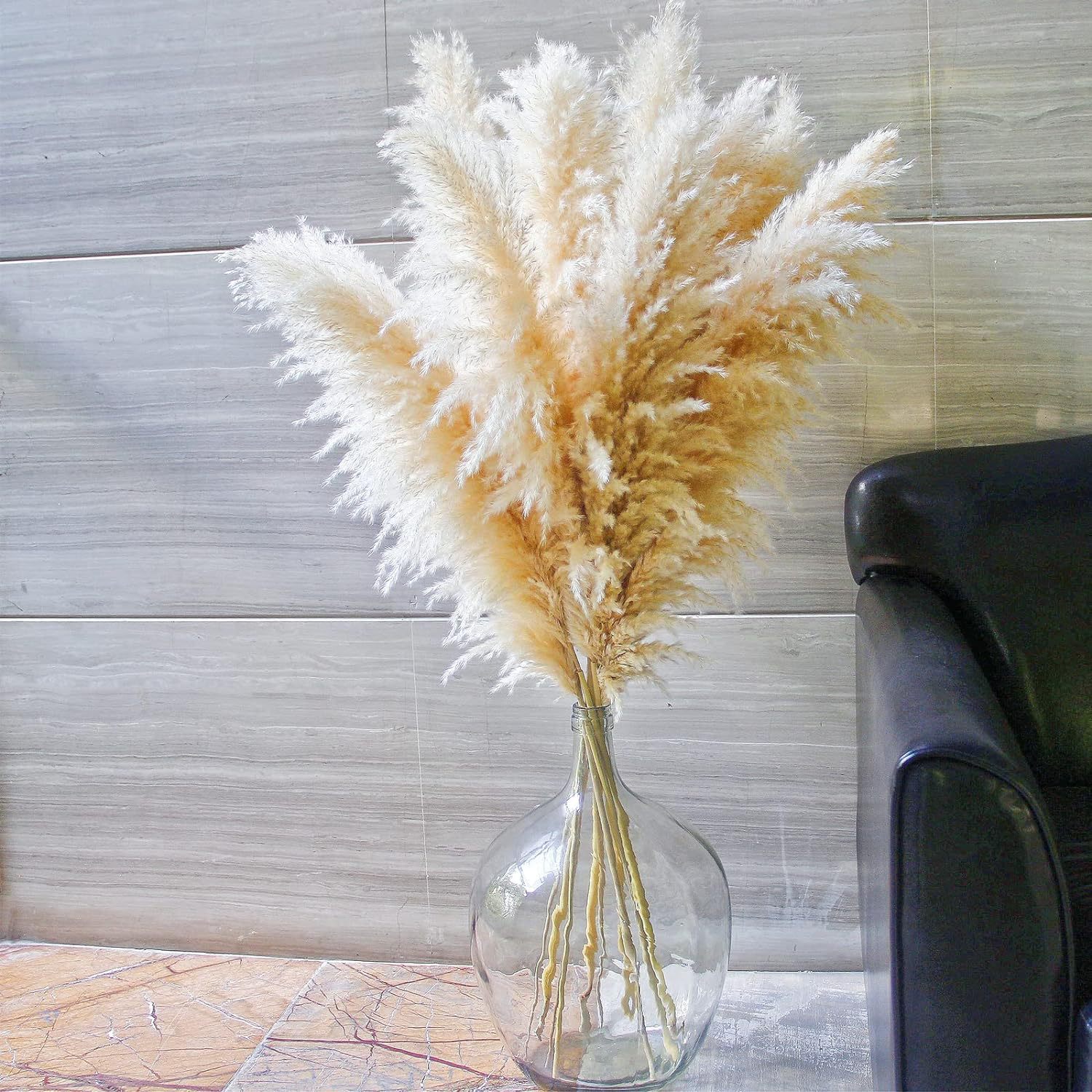 황백색 부들갈대 (전체 길이 1.2- 1.4m 귀 길이 60-70cm)