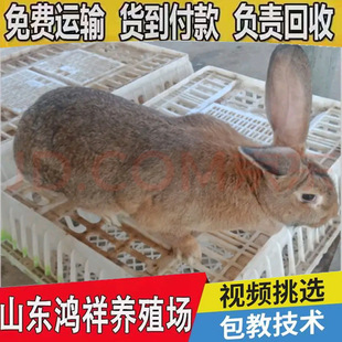 ���ͱ����r�����l�r��S�ҹ�����������r�ñ����r����һ������