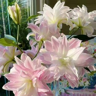 �M���ذ���ˮ�ٺϷN�������ļ����Դ����S��Ի��ܻ��N�����҃�