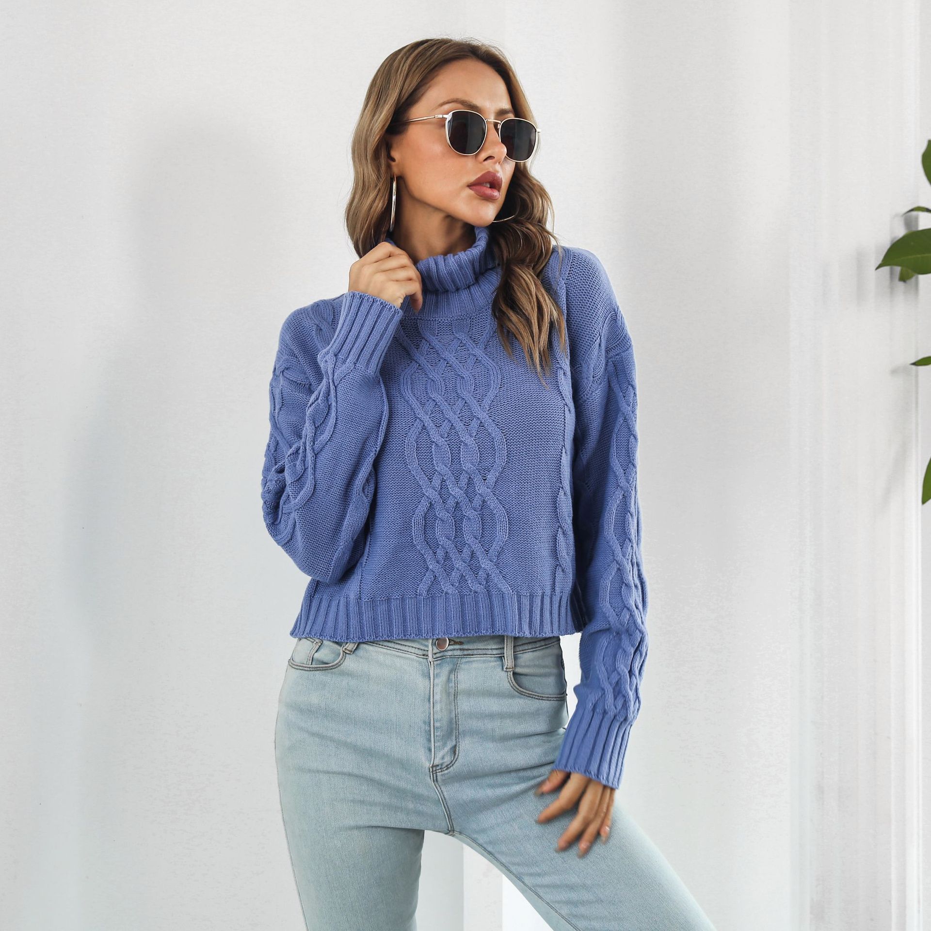 Knit Turtleneck Short Sweater Women Loose Autumn Winter Long Sleeve Sweater Sweater