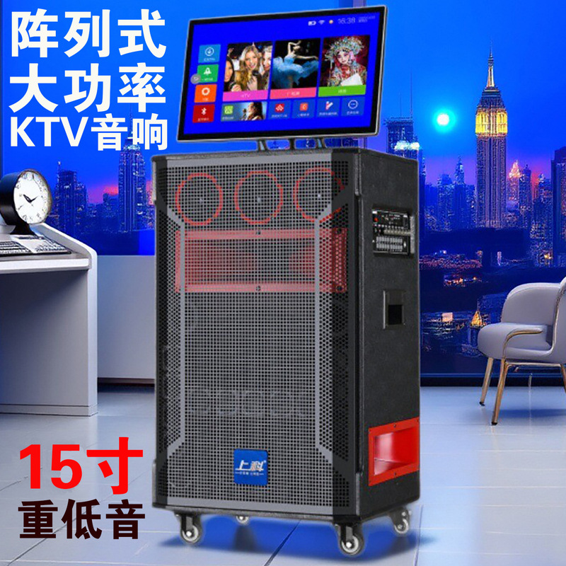 上科广场舞音响带显示屏家庭唱歌跳舞户外演出功放一体机蓝牙音箱|undefined