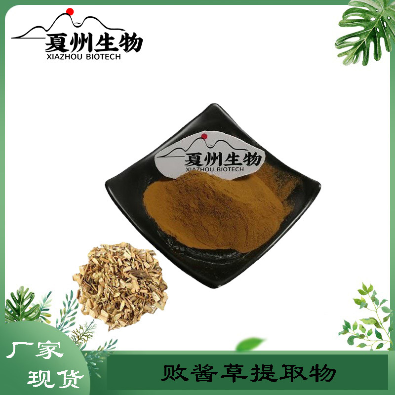 败酱草提取物 10/20/30/50:1  植物提取物  夏州生物供应kg装