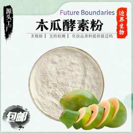 木瓜酵素粉99%水果酵素浓缩粉 水溶 生产厂家 源头工厂 现货