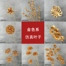 ���滨��ɫϵ�~�����ϻ���c�b��ò廨���긣Ͱ�����������羳