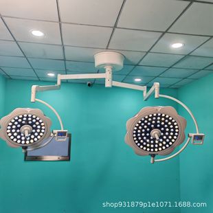 Suspension Double Head Surgical Lamp Dental Oral Cavity Lighting Lamp New One-Time Molding Handle Shadowless Lamp Led