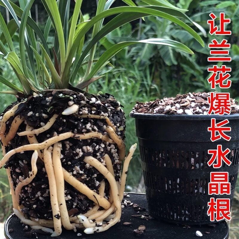 蘭植え土 蘭土植え 蘭栄養土 16リットル土 古い配合栄養土 蘭 送料無料|undefined