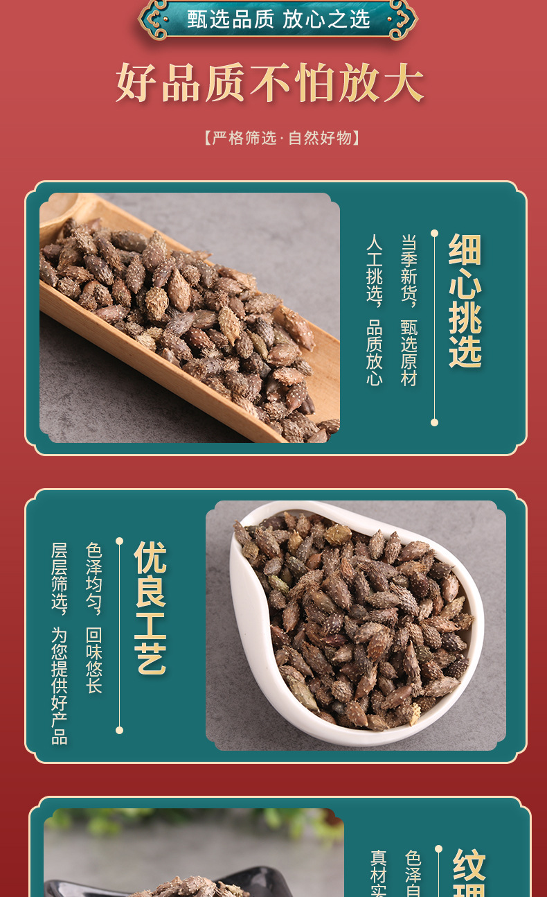 Cang Er Zi Powder (Xanthium sibiricum) — De-Spined Cocklebur Fruit Powder, 500g in use