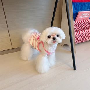 Dog Summer Clothes Striped Vest Sling Sun Protection Thin Breathable Small Size Dogs Bichon Teddy Maltese