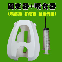 ���� ِ��ι��ș�̶��� �̶��� ����ιʳ��ιș�� ���� ʳ�� ײ�T