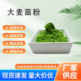 大麦苗粉 大麦若叶青汁粉 蔬菜粉 厂家批发 代餐粉大麦苗粉膳食纤