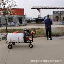 农用手推果园高压杀虫打药机 菜园果园大棚打药机 小型喷雾机