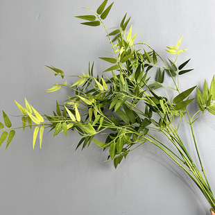 �����ٽz����ҿ͏d�U���b������~�Ƶ����ޔ[�ż����~�^�������l