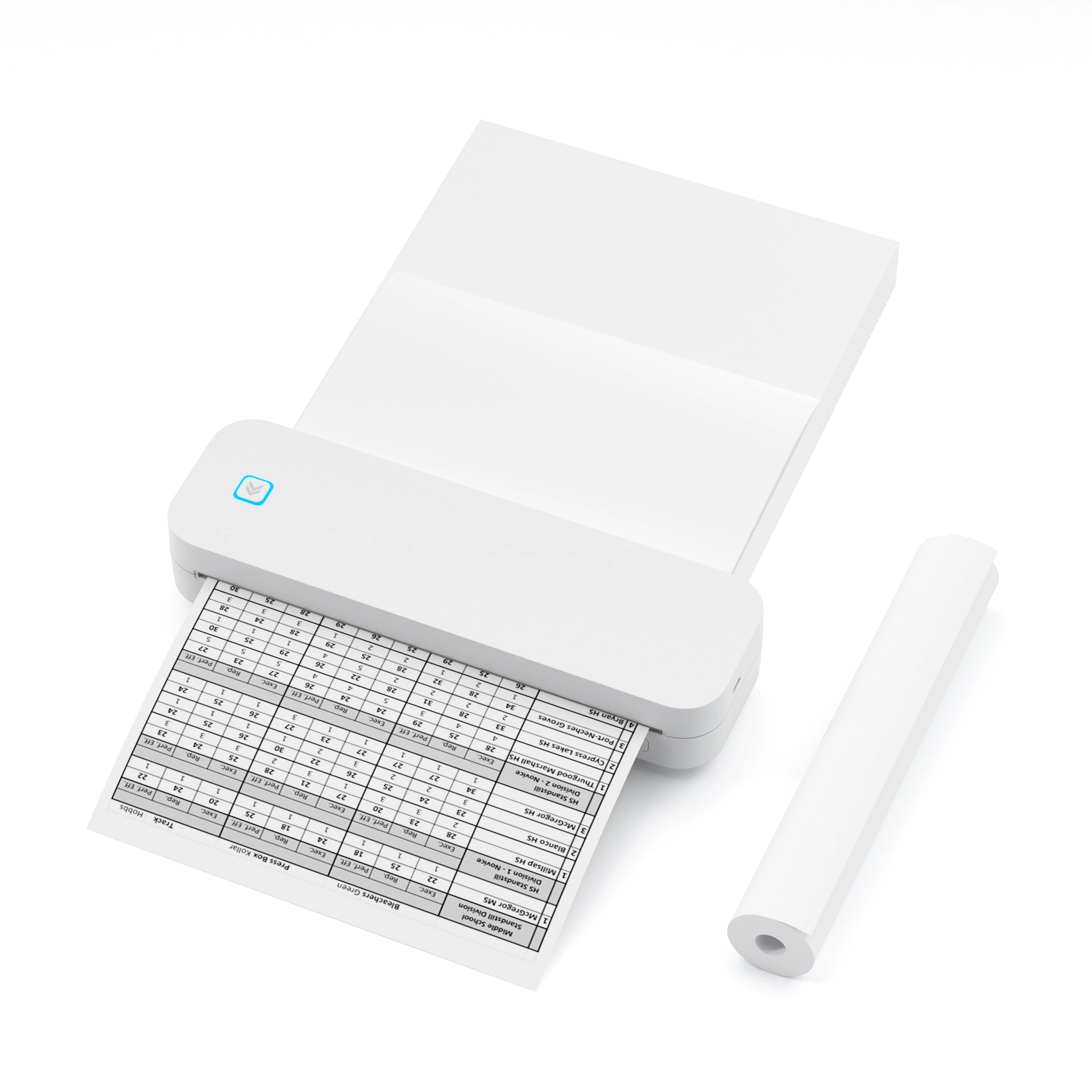 Ручной принтер (DingdangTX) D80 — портативный принтер A4 по Bluetooth, 203/304 dpi
