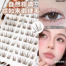 自然棕调棕知末免胶假睫毛透明梗单簇分段式仿真新手轻女团眼睫毛